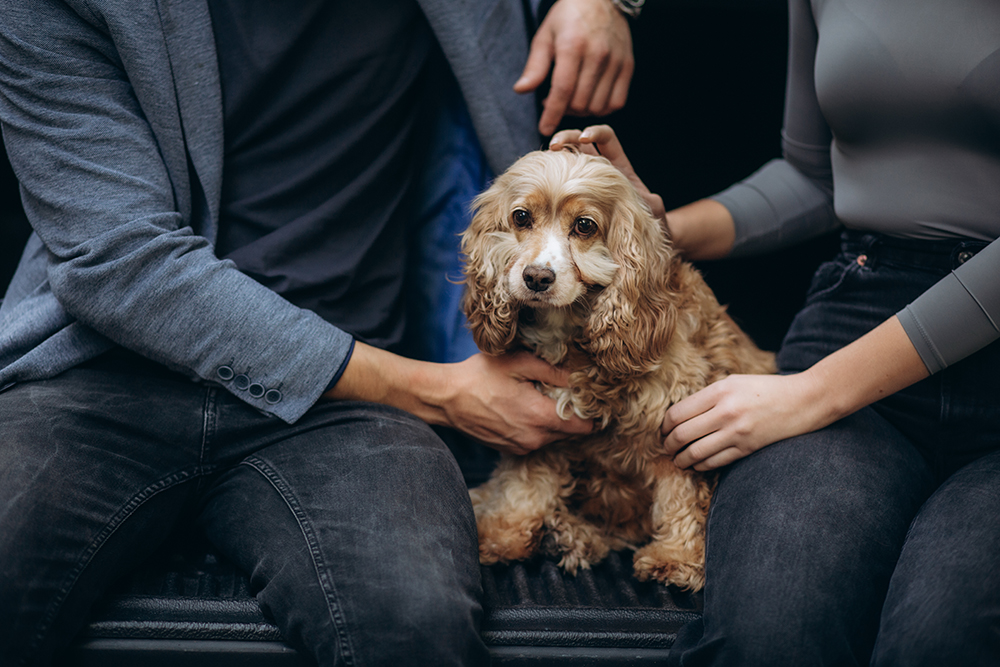 hugging a dog sitting in the trunk of a car